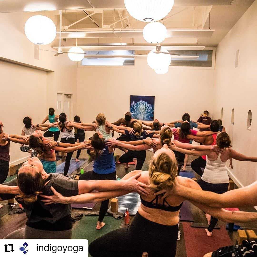 Indigo Yoga community moment 41